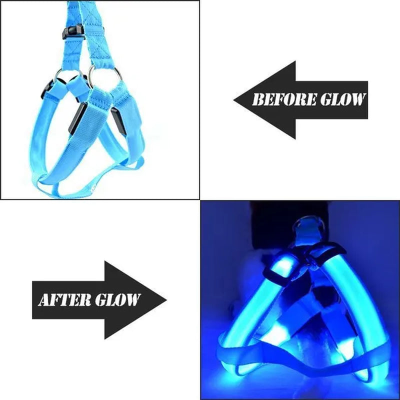 LED Pet Dog Chest Strap with Nylon Material for Night Safety - Flashing Glow in the Dark Harness Leash with LED Lights for Dogs and Cats
