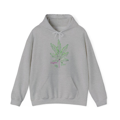 Only High Vibes Hooded Sweatshirt