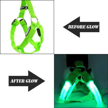 LED Pet Dog Chest Strap with Nylon Material for Night Safety - Flashing Glow in the Dark Harness Leash with LED Lights for Dogs and Cats