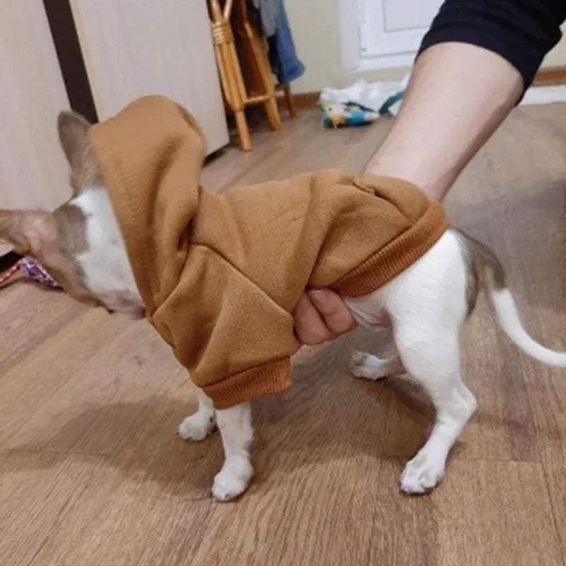 Professional title: "Winter Pet Hoodie Coat for Small Dogs and Cats - Cotton Jacket with Sporty Design"