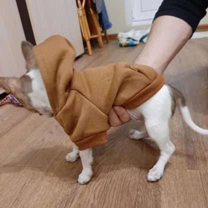 Professional title: "Winter Pet Hoodie Coat for Small Dogs and Cats - Cotton Jacket with Sporty Design"