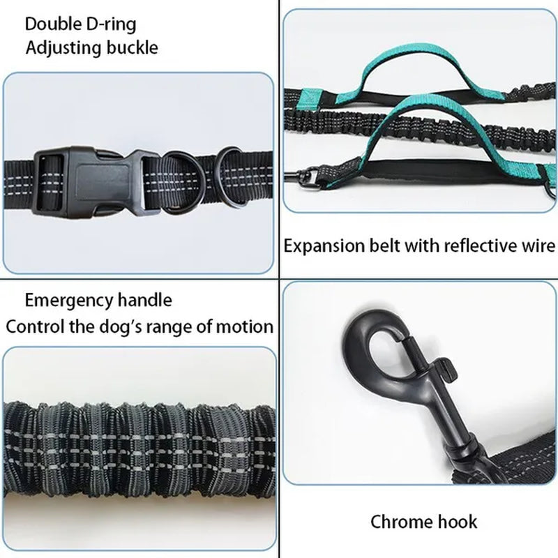 Professional Title: "Elastic Dog Leash for Comfortable Running - Pet Supplies for Dogs"