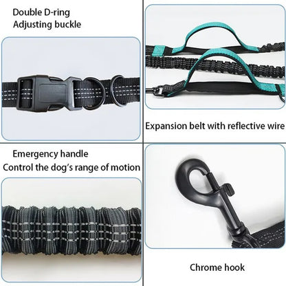 Professional Title: "Elastic Dog Leash for Comfortable Running - Pet Supplies for Dogs"