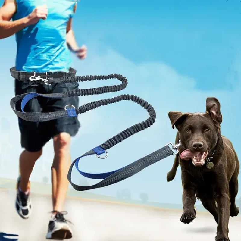 Professional Title: "Elastic Dog Leash for Comfortable Running - Pet Supplies for Dogs"