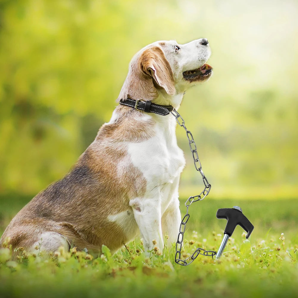 8Pcs Camping Pegs Drill in with Hex Socket Stakes Ground Anchors Camping Stakes Tent Ground Nail Screw in Camping Tent Pegs