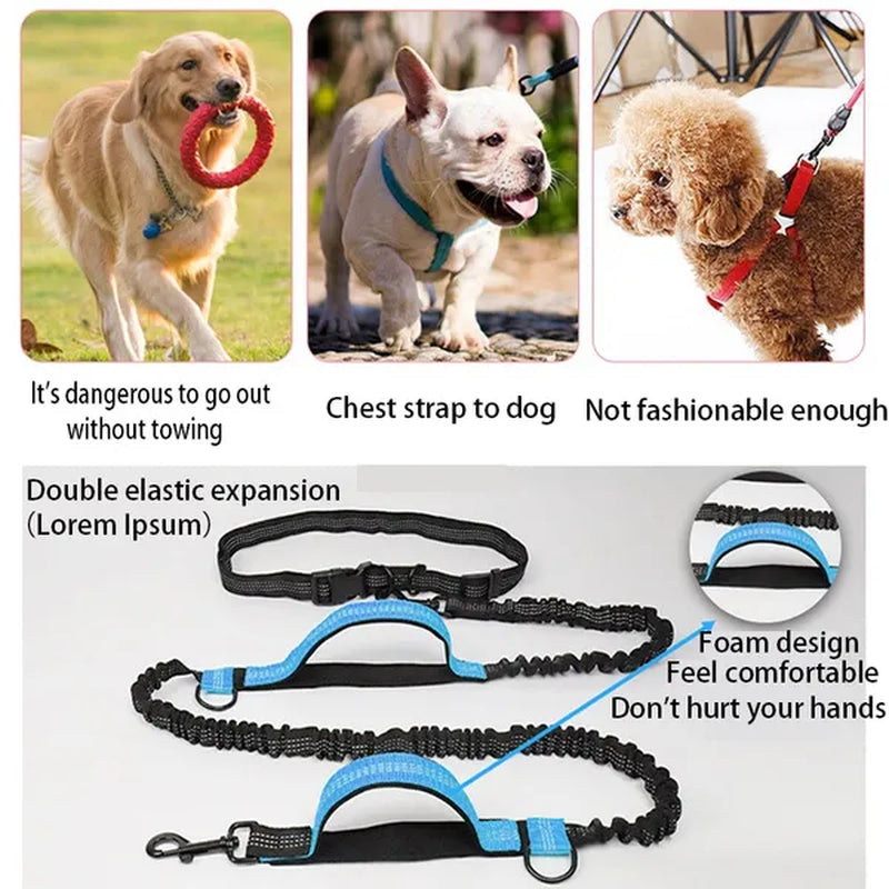 Professional Title: "Elastic Dog Leash for Comfortable Running - Pet Supplies for Dogs"
