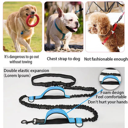 Professional Title: "Elastic Dog Leash for Comfortable Running - Pet Supplies for Dogs"