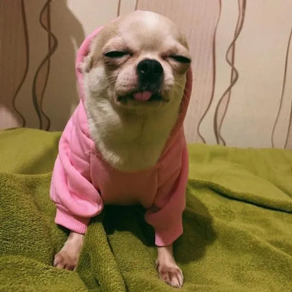 Professional title: "Winter Pet Hoodie Coat for Small Dogs and Cats - Cotton Jacket with Sporty Design"