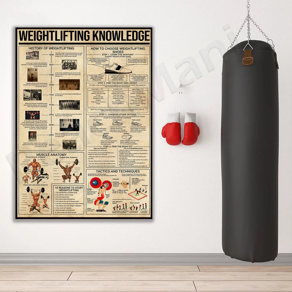 Weightlifting Knowledge Poster Gym Poster Sports Poster Weightlifting History Choosing Weightlifting Shoes Muscle Anatomy Poster