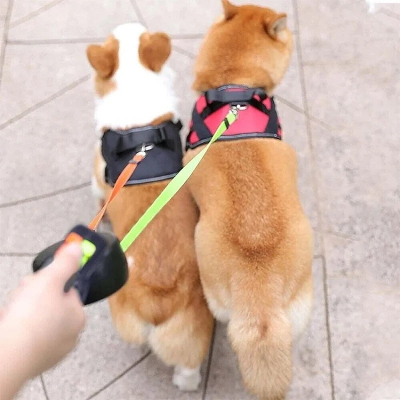 One tow two automatic retractable leash pet double head dog leash two dogs 2 in 1 explosion-proof punch dog walking leash