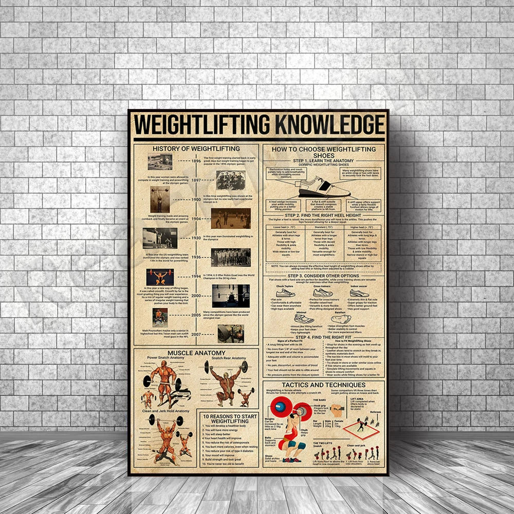 Weightlifting Knowledge Poster Gym Poster Sports Poster Weightlifting History Choosing Weightlifting Shoes Muscle Anatomy Poster