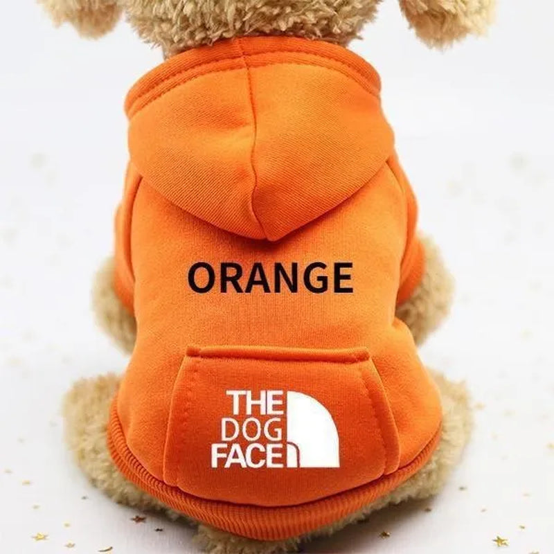 Professional title: "Winter Pet Hoodie Coat for Small Dogs and Cats - Cotton Jacket with Sporty Design"