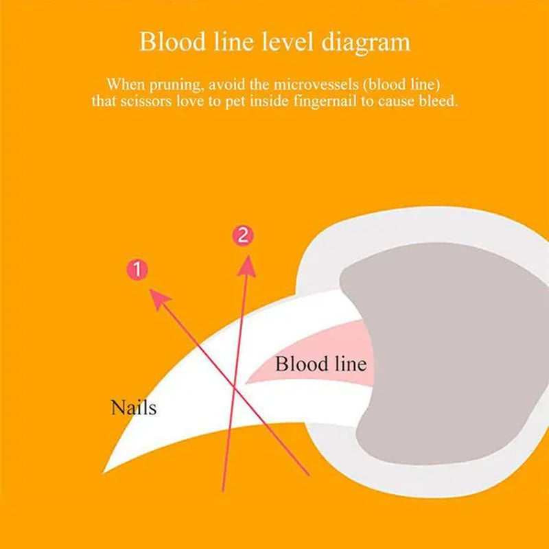 Professional title: "LED Light Pet Nail Clipper Scissors for Cats and Dogs - Toe Claw Clippers for Pet Care"