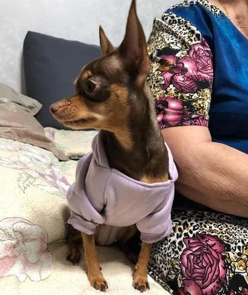 Professional title: "Winter Pet Hoodie Coat for Small Dogs and Cats - Cotton Jacket with Sporty Design"