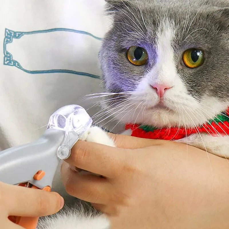 Professional title: "LED Light Pet Nail Clipper Scissors for Cats and Dogs - Toe Claw Clippers for Pet Care"