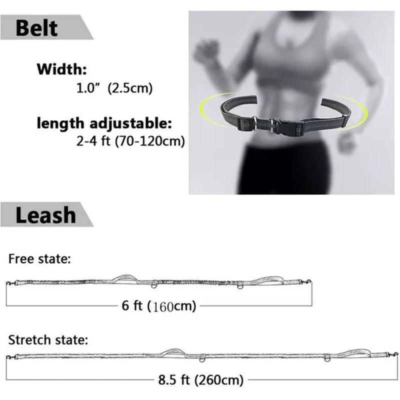 Professional Title: "Elastic Dog Leash for Comfortable Running - Pet Supplies for Dogs"